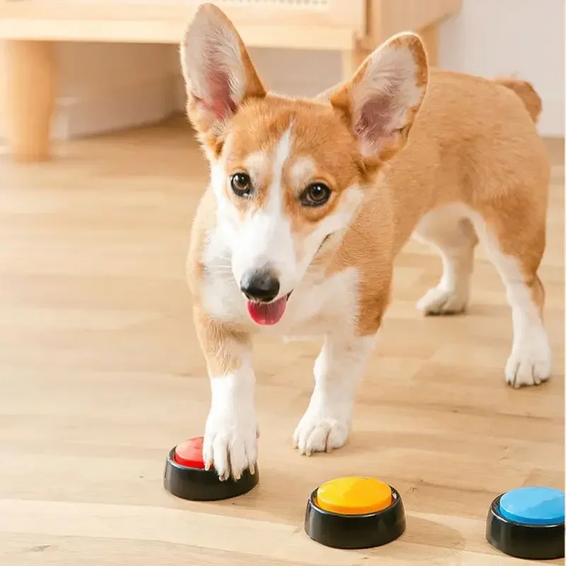 2026 Recordable Talking Pet Bu - огляд і ціна Event Party Box